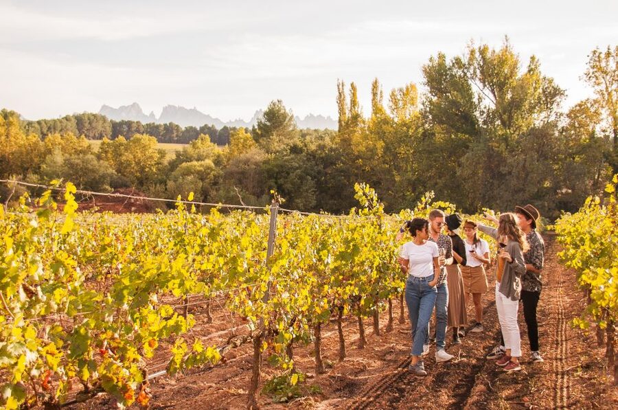 From Barcelona: Full-Day Montserrat & Wine Small Group Tour - Who will enjoy this day most