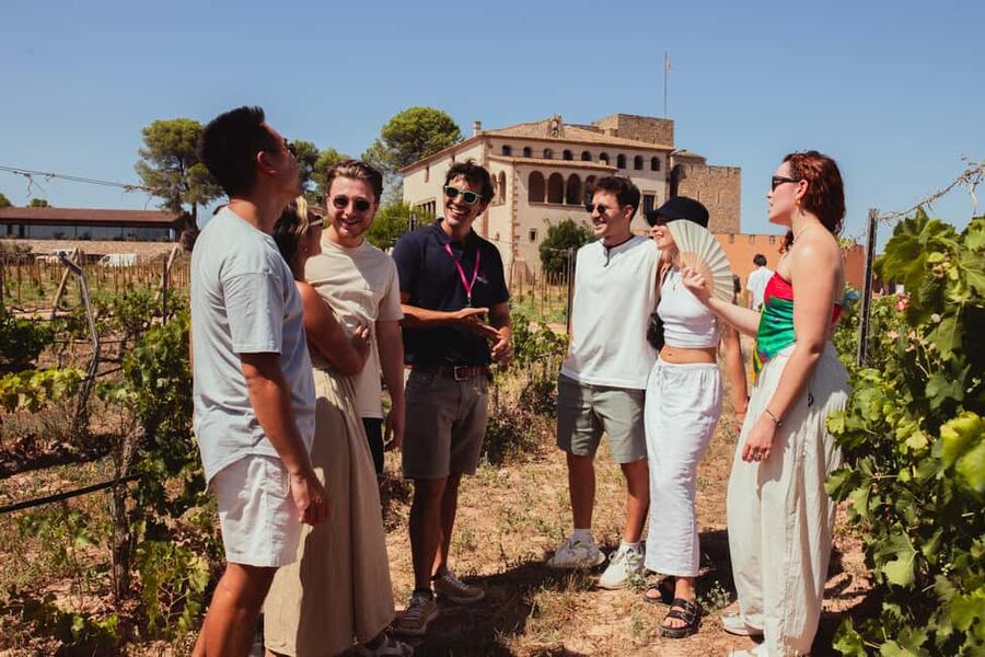 From Barcelona: Full-Day Montserrat & Wine Small Group Tour - A long Catalan lunch at the castle