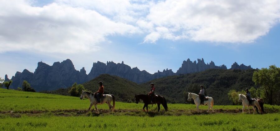From Barcelona: Horseback Tour in Montserrat National Park - Quiet time at the ranch before Barcelona