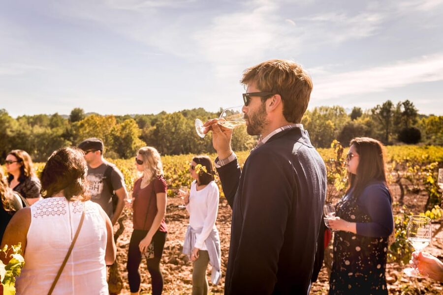 From Barcelona: Montserrat Half-Day Wine and Tapas Trip - The best parts of this Montserrat and wine trip