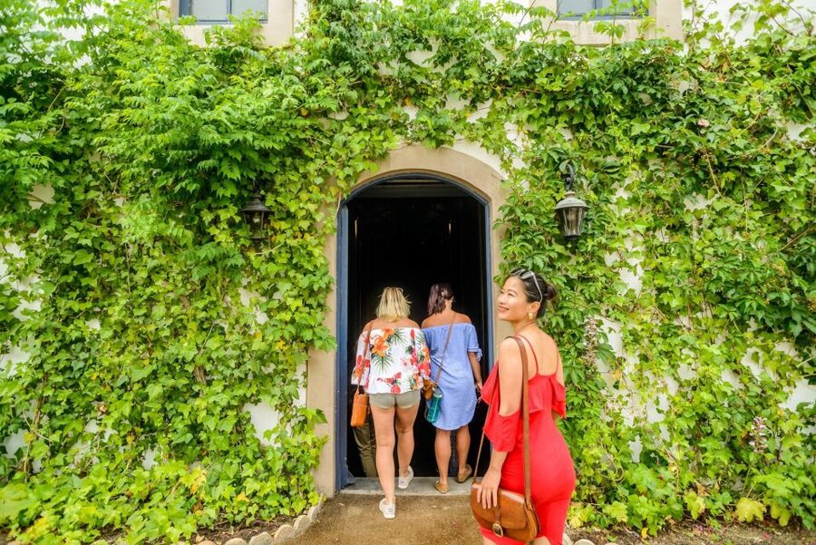 From Barcelona: Penedés Vineyards Tour by 4WD w/Wine & Cava - Should you book the Penedès wine and cava tour?