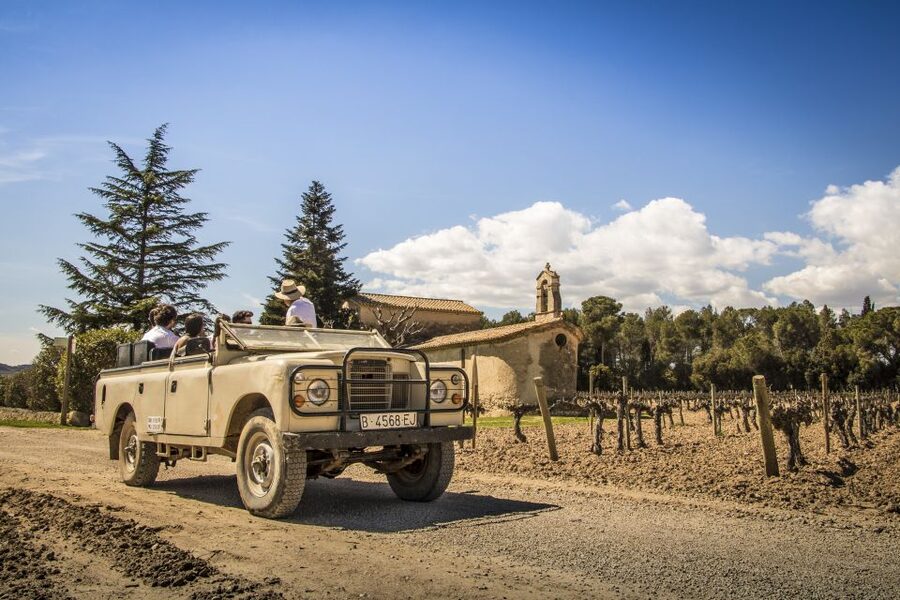From Barcelona: Penedés Vineyards Tour by 4WD w/Wine & Cava - Who will enjoy this most?