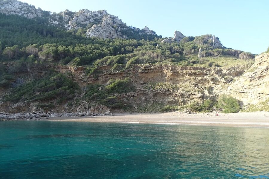 From Can Picafort: Dolphin Watching and Cave Boat Trip - Five things to know before boarding