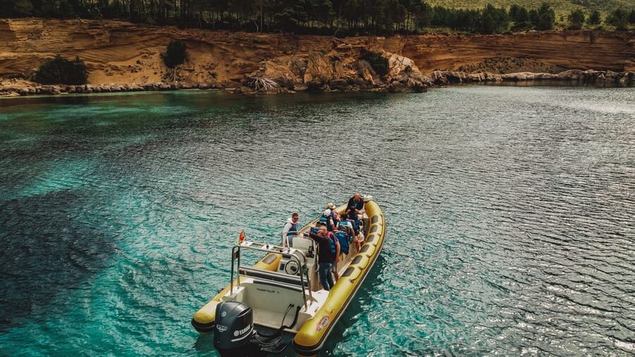 From Can Picafort: Dolphin Watching and Cave Boat Trip - Setting out from Can Picafort at sunrise