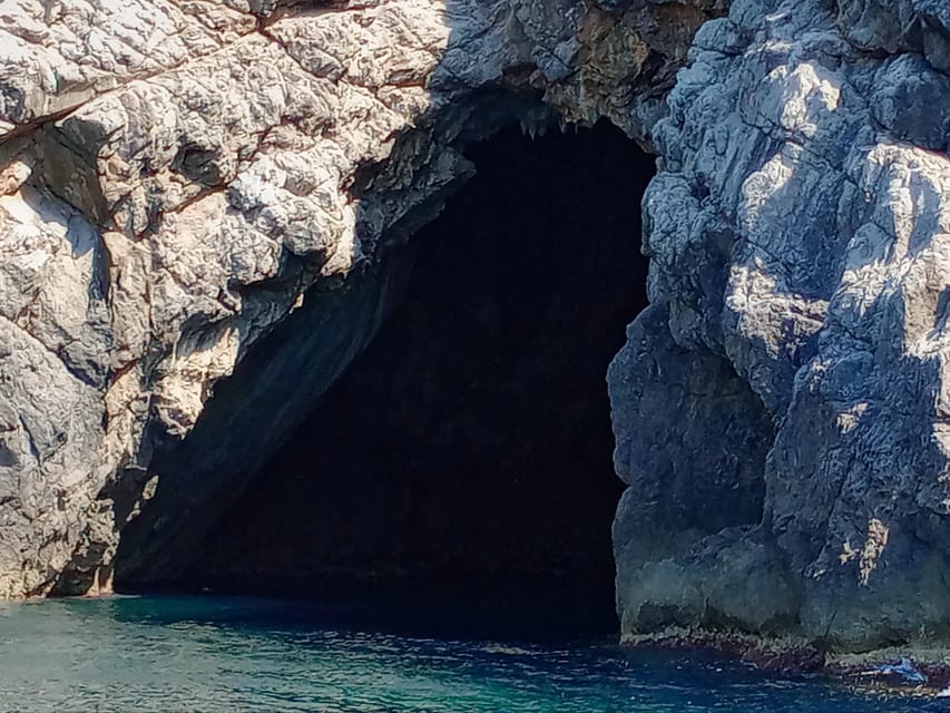 From Can Picafort: Dolphin Watching and Cave Boat Trip - Who should book this Can Picafort boat trip?