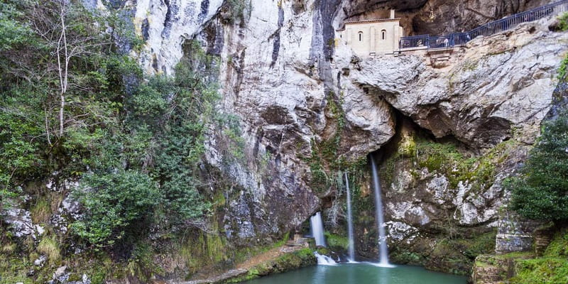 From Cangas de Onis: Lakes of Covadonga Guided Day Trip - Lake Enol and Lake Ercina at Entrelagos