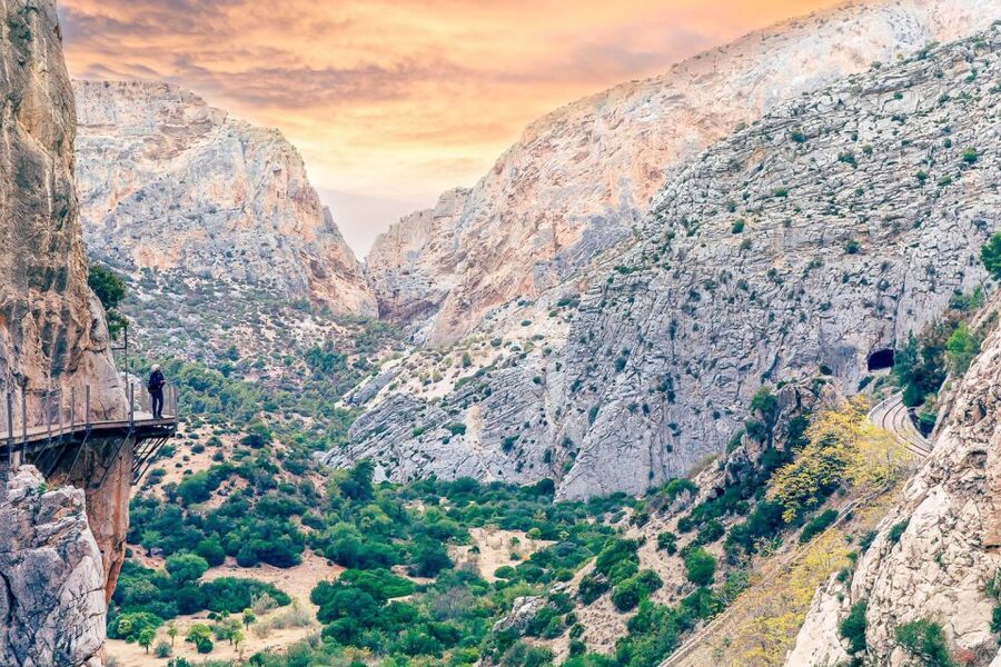 From Costa del Sol: Caminito del Rey Day Trip - Walking the 7.7 kilometer Caminito del Rey