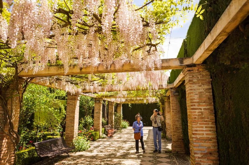 From Costa del Sol: Granada Full-Day Tour - The Costa del Sol pickup and bus ride