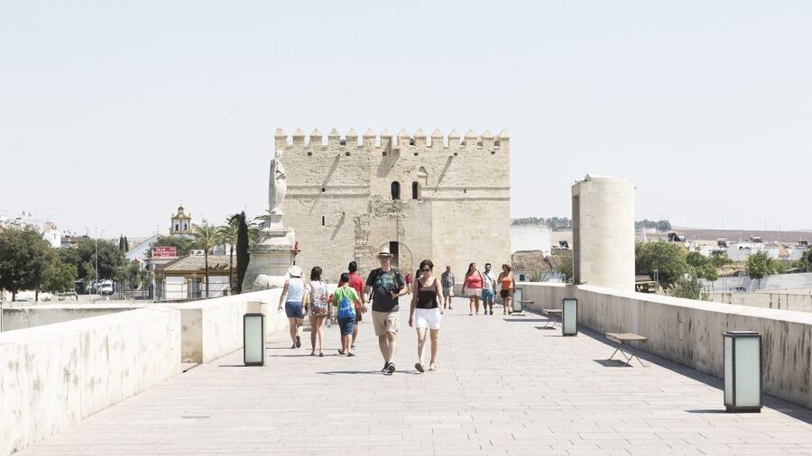From Costa del Sol & Malaga: Cordoba Guided Day Tour - Roman Bridge and Cordoba’s oldest layers