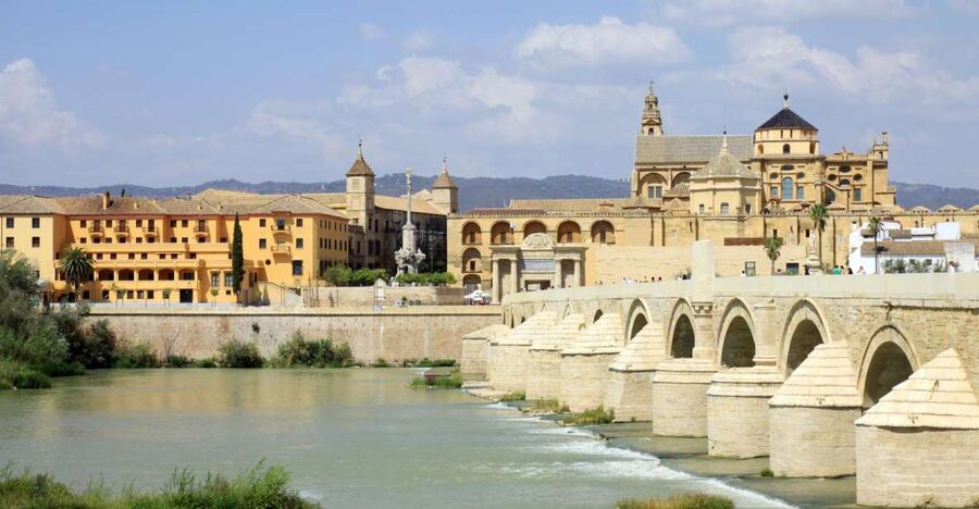 From Costa del Sol & Malaga: Cordoba Guided Day Tour - Guides, languages, and group experience