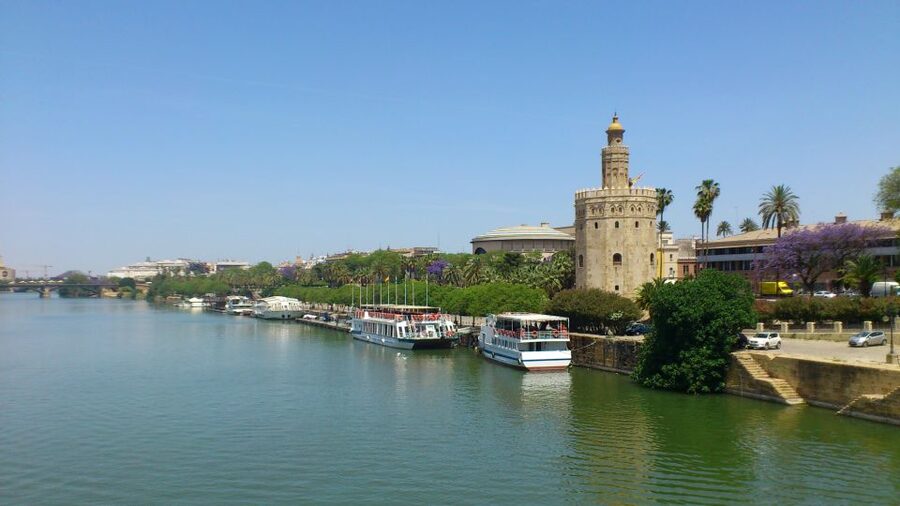 From Costa del Sol & Malaga: Seville Day Trip - Free time for lunch and independent exploring