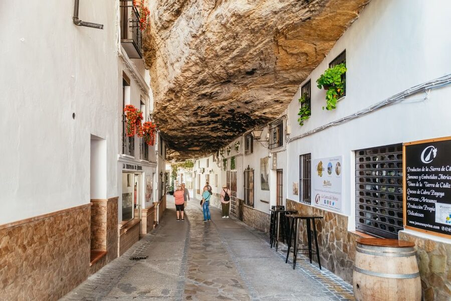 From Costa del Sol: Ronda and Setenil de las Bodegas - Puente Nuevo and the El Tajo gorge