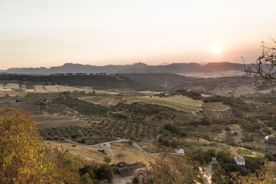 From Costa del Sol: Ronda Village Tour w/ Maestranza Ticket - The guided walk through Ronda’s old quarter