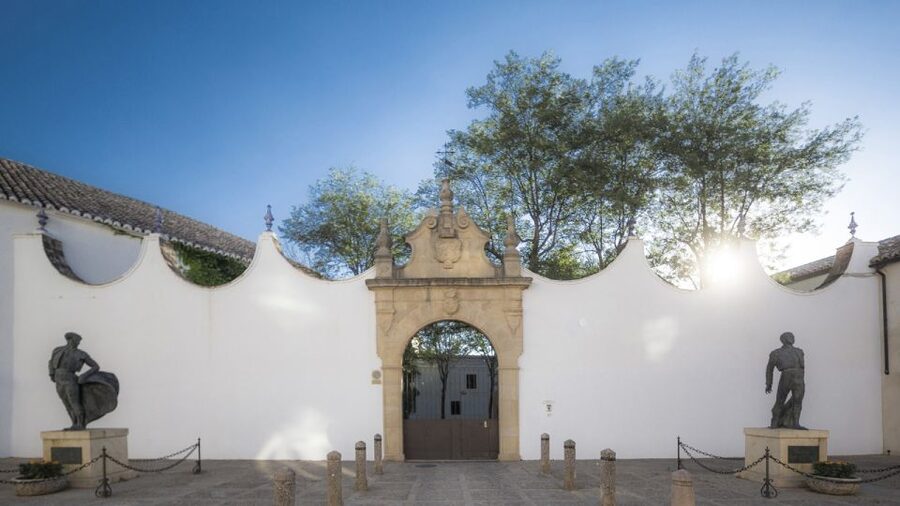 From Costa del Sol: Ronda Village Tour w/ Maestranza Ticket - The coach journey from the Costa del Sol