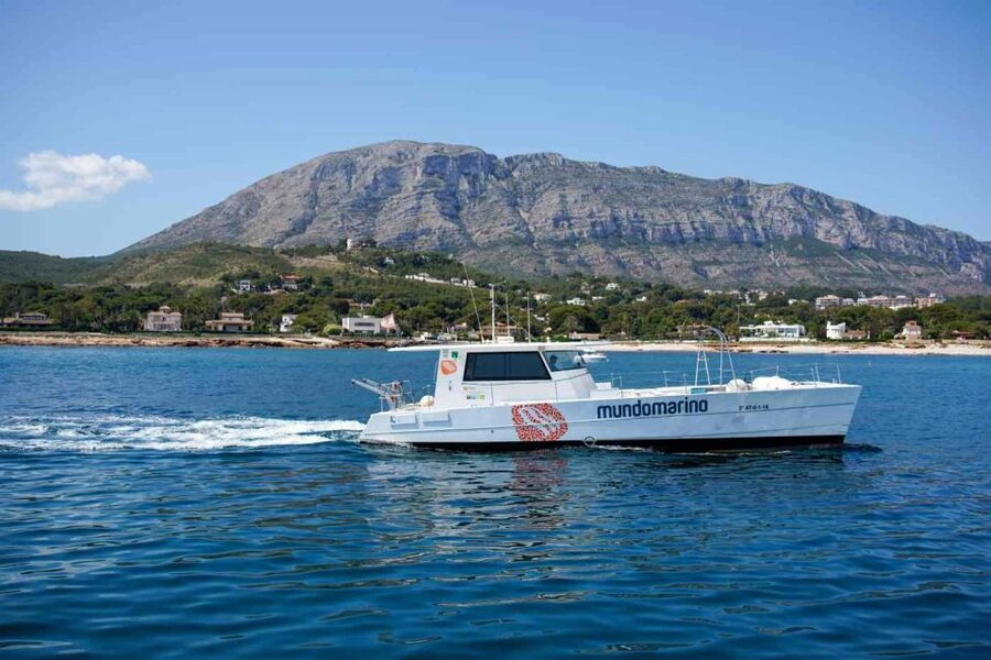 From Denia: Boat Trip to Tallada Cave with Optional Swim - The Dénia Marine Reserve from the catamaran