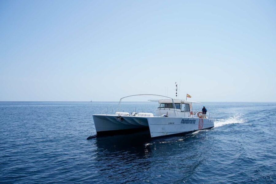 From Denia: Boat Trip to Tallada Cave with Optional Swim - Who will enjoy it most?