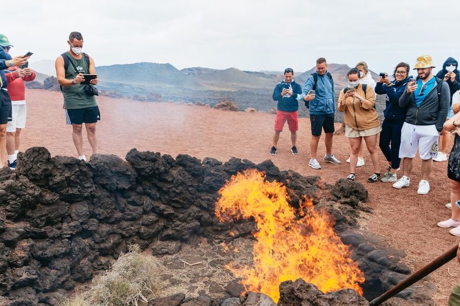 From Fuerteventura: Lanzarote Trip with Wine Tasting & Lunch - La Geria, where vines grow in volcanic soil