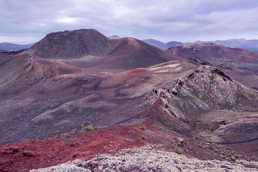 From Fuerteventura: Lanzarote Volcano and Wine Region Tour - Coach comfort, group size and languages