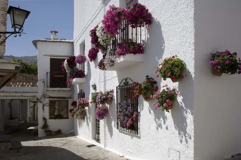 From Granada: Alpujarra Mountain Villages Tour - Lanjarón and the first taste of mountain life