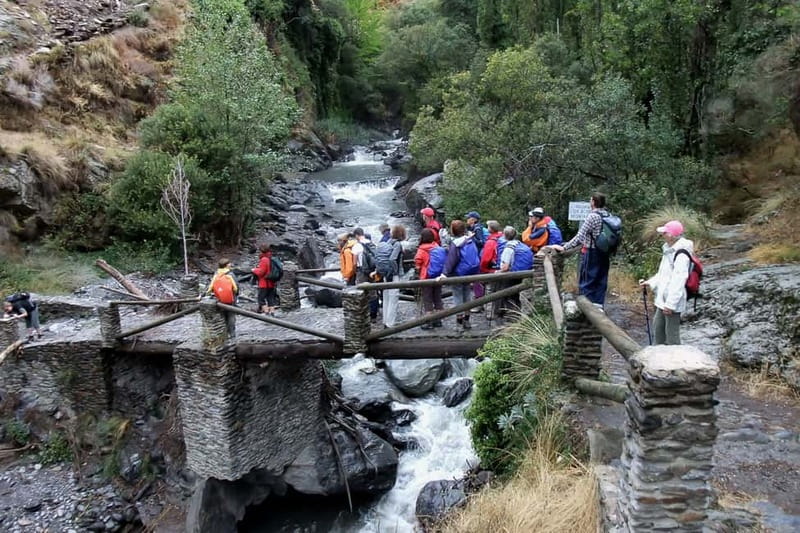 From Granada: Alpujarra Mountain Villages Tour - The guide can shape the whole day