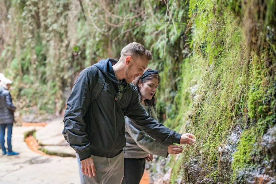 From Granada: Alpujarra Villages Guided Day Tour - Capilerilla, the quietest village stop