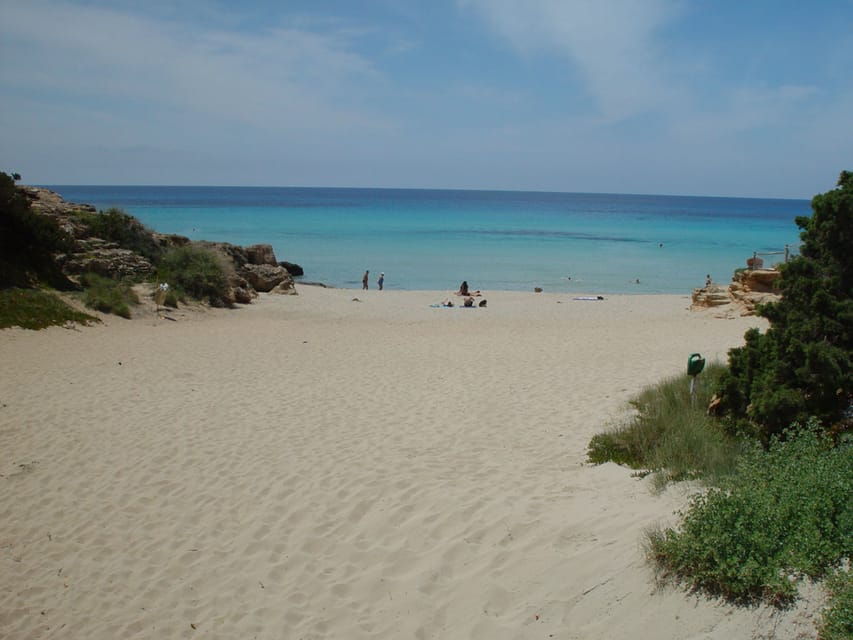 From Ibiza: Ferry and Guided Bus Excursion in Formentera - Practical advice before you go
