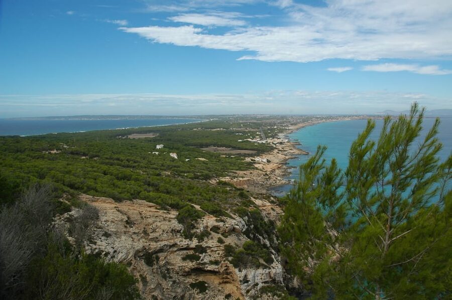 From Ibiza: Ferry and Guided Bus Excursion in Formentera - What kind of Formentera day is this?