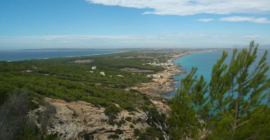From Ibiza: Ferry and Guided Bus Excursion in Formentera - San Francisco Javier and the Mirador view