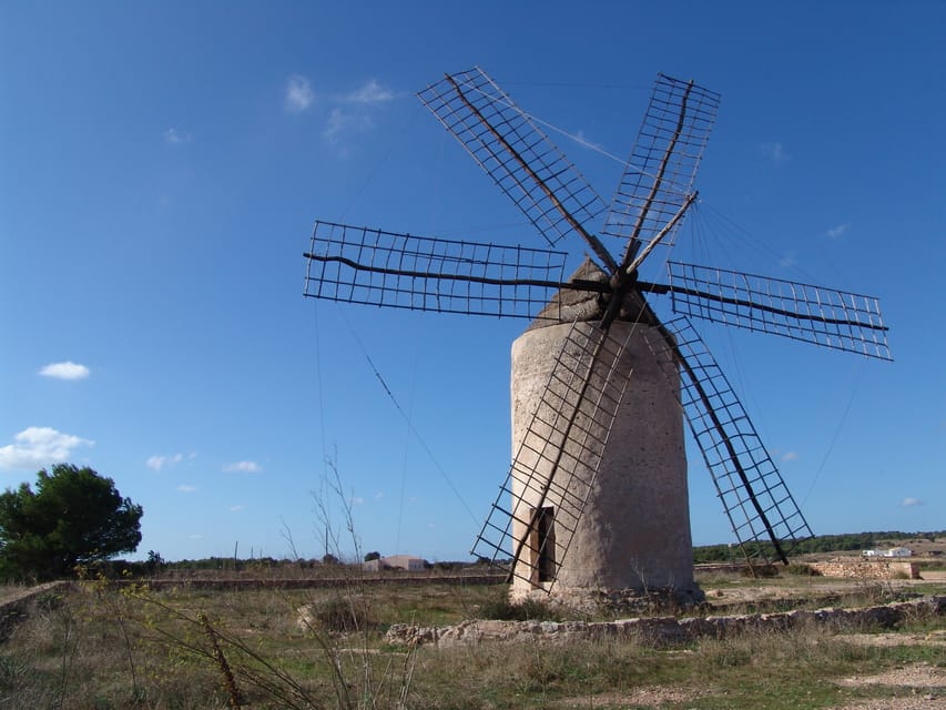 From Ibiza: Ferry and Guided Bus Excursion in Formentera - El Pilar de la Mola and the La Mola lighthouse