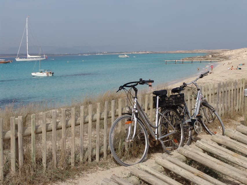 From Ibiza: Ferry and Guided Bus Excursion in Formentera - Is $111 a fair price?