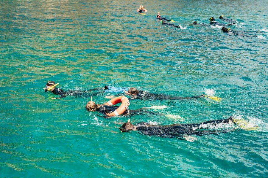 From L’Estartit: Snorkeling Trip to the Medes Islands - The eco-briefing and equipment fitting