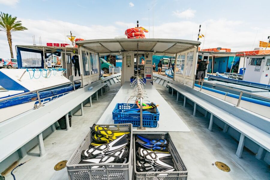 From L’Estartit: Snorkeling Trip to the Medes Islands - Free time for swimming and sun on deck