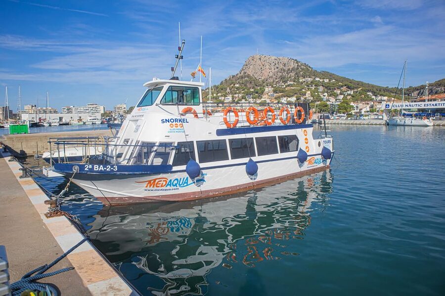 From L’Estartit: Snorkeling Trip to the Medes Islands - Is $45 good value?