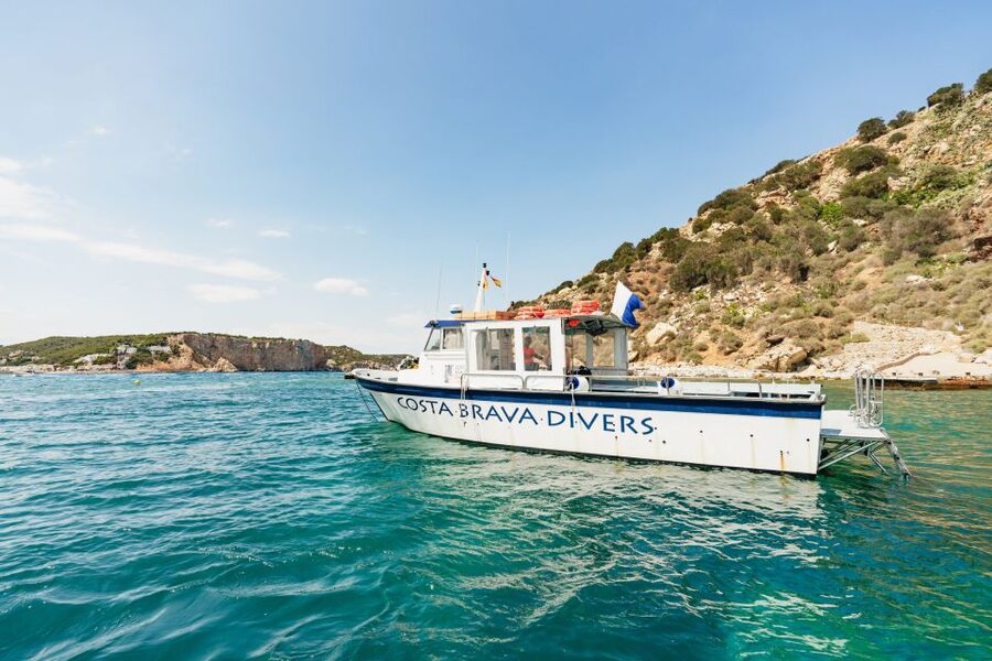 From L’Estartit: Snorkeling Trip to the Medes Islands - Starting at Medaqua in L’Estartit