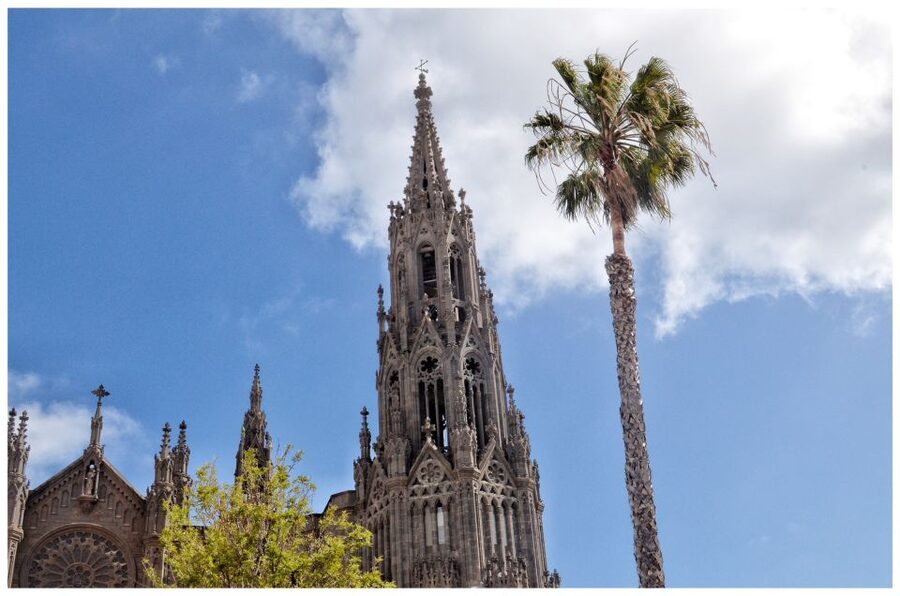 From Las Palmas: Full-Day Tour of the North - Key points at a glance
