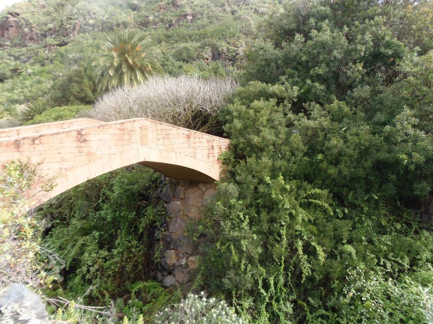 From Las Palmas: Full-Day Tour of the North - Who will get the most from this tour