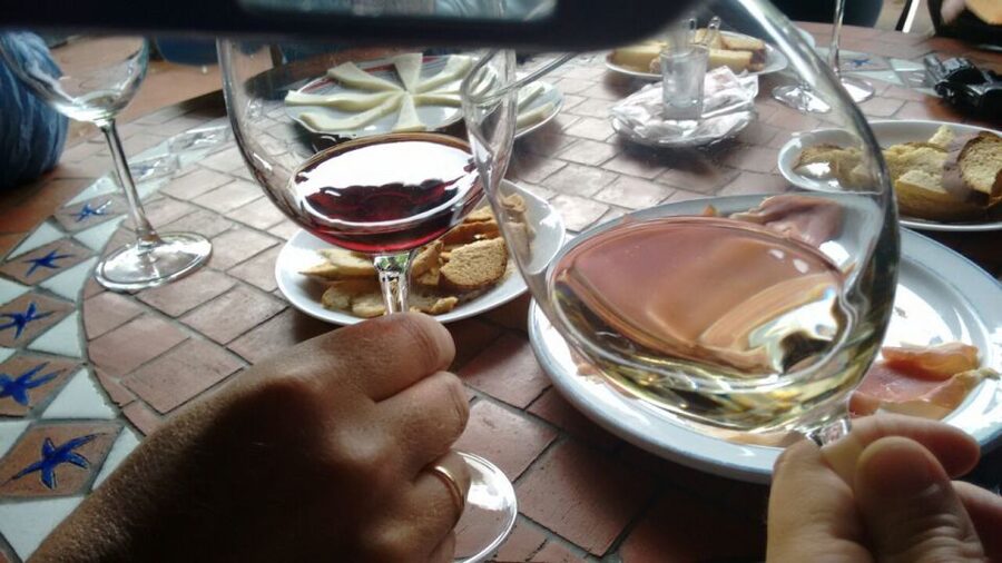 From Las Palmas: Full-Day Tour of the North - The vineyard, wine, and local cheese