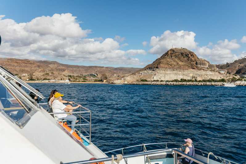 From Las Palmas: Highlights of Gran Canaria Day Tour - Key points before you book
