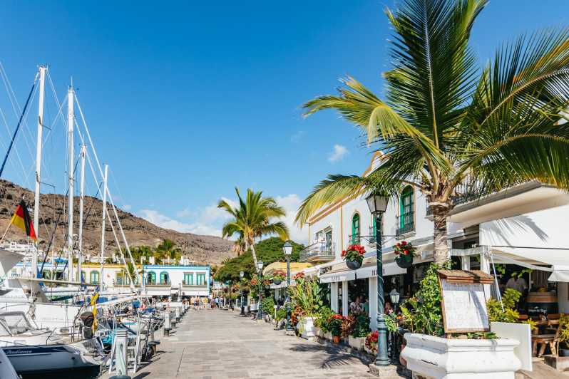 From Las Palmas: Highlights of Gran Canaria Day Tour - Why this south Gran Canaria tour works