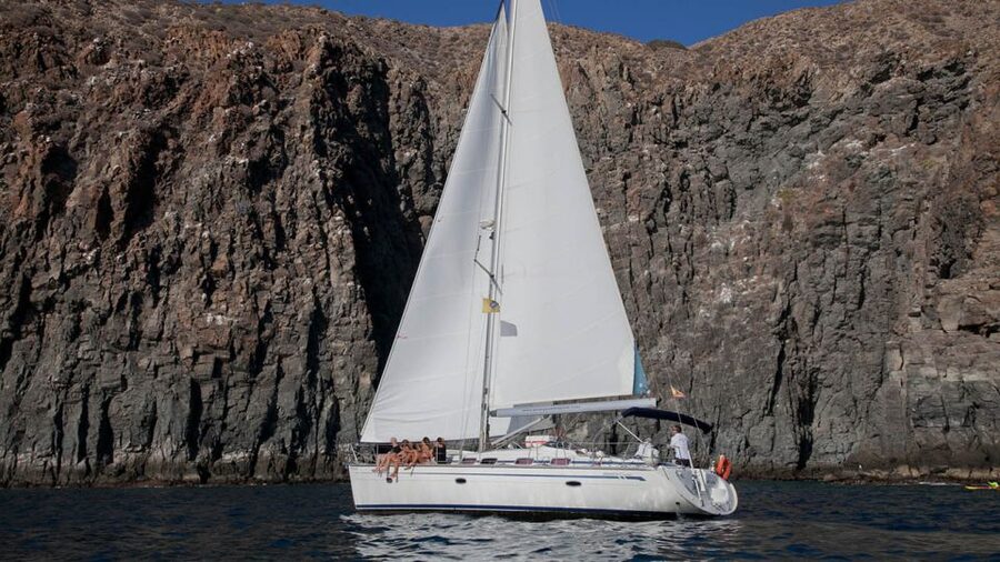 From Los Gigantes: Whale Watching Sailboat Cruise - A 15-minute swim and snorkel stop
