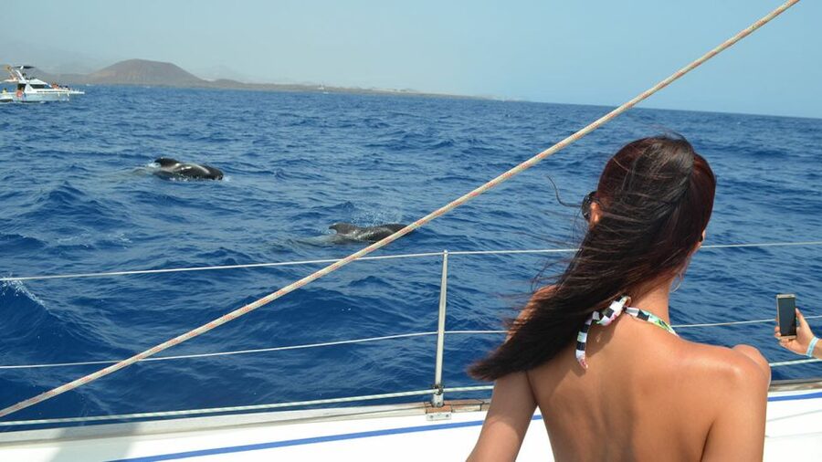 From Los Gigantes: Whale Watching Sailboat Cruise - Who will enjoy Aemon or Ayla most?