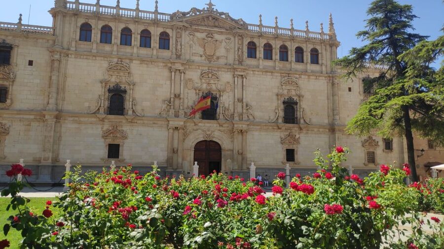 From Madrid: Alcalá de Henares & Cervantes Museum Day Trip - Who Should Choose This Alcalá Excursion?