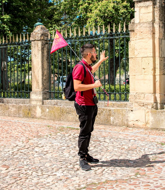 From Madrid: Ávila and Segovia Guided Day Trip - Choosing the Alcázar option