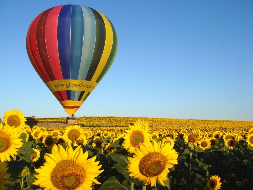 From Madrid: Hot Air Balloon Ride in Segovia with Pickup - Landing, champagne, and a simple breakfast