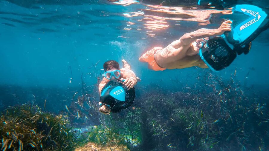 From Magaluf: Palma Bay Sightseeing Cruise with Live Music - Who Should Book This Cruise?