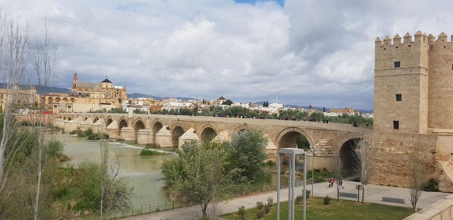 From Malaga and Costa Del Sol: Cordoba Day Trip - The Long Ride From Malaga to Córdoba