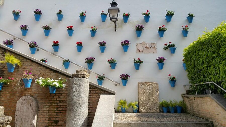 From Malaga and Costa Del Sol: Cordoba Day Trip - The Mosque-Cathedral and Patio de los Naranjos