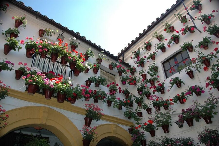 From Malaga and Costa Del Sol: Cordoba Day Trip - Eating Córdoba: Salmorejo and Flamenquines