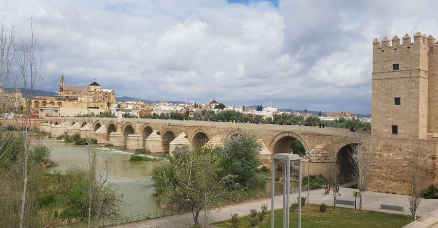 From Malaga and Costa Del Sol: Cordoba Day Trip - Five Hours to Find Your Own Córdoba
