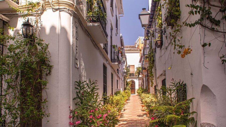 From Malaga or Costa del Sol: Mijas, Marbella & Puerto Banus - Key points before you book